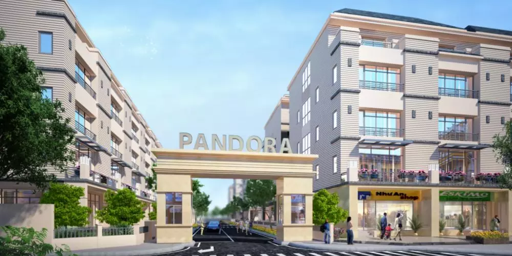 Pandora 53 Triều Khúc