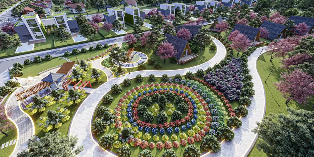 Sunflower Hill