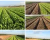 Các trường hợp chuyển mục đích sử dụng đất không phải xin phép