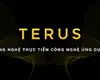 Terus là ai? Đơn Vị Cung Cấp Giải Pháp Digital Marketing Tổng Thể