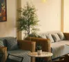 Trang trí phòng khách bằng cây xanh - Bí quyết làm đẹp không gian sống tất yếu