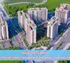 Phúc Đạt Group - Kiến tạo hệ sinh thái nhà ở đa dạng cho người Việt
