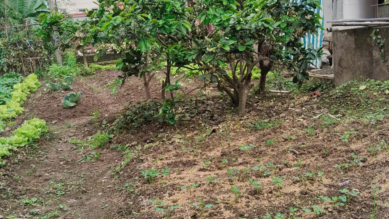 Bán đất 62 m2 tại đường Phúc Lợi, Long Biên, Hà Nội, vị trí vàng gần hồ điều hòa
