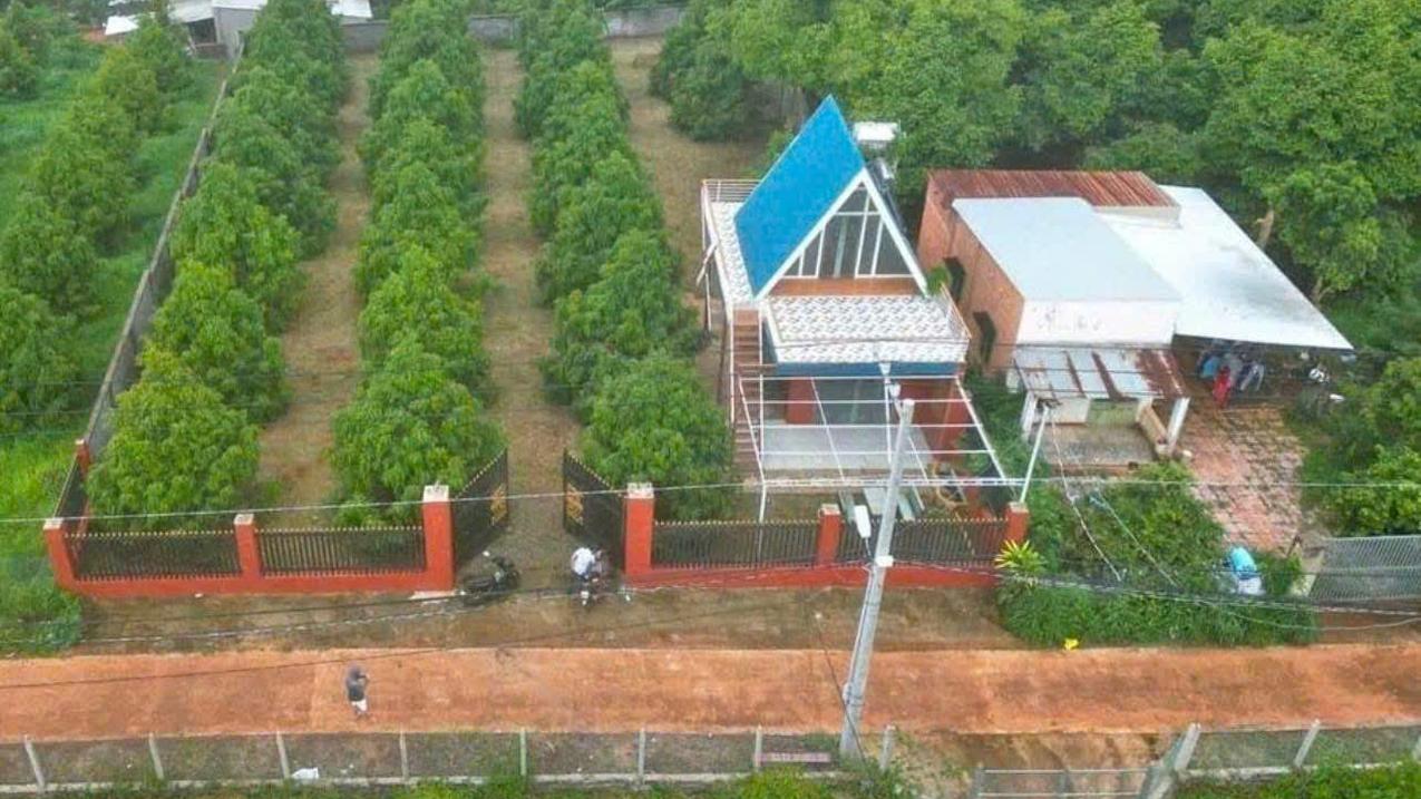 Sang nhượng đất vườn sầu riêng 5200m2 đường 13, Chánh Phú Hòa, Bến Cát, Bình Dương
