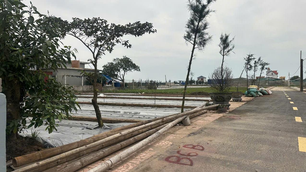 Bán đất ven biển Đường 56, Giao Phong, Giao Thuỷ, Nam Định 90m² giá chỉ 1,7 tỷ