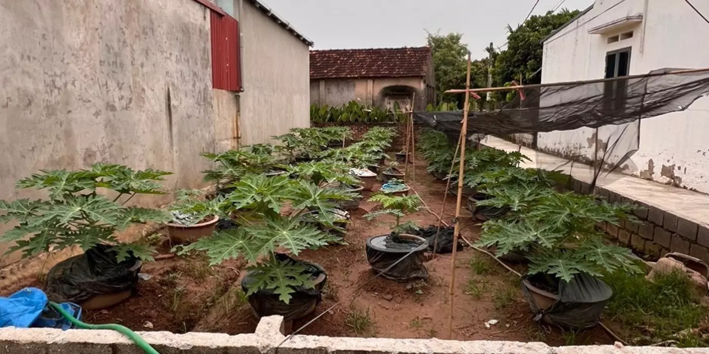 Bán đât lô góc 102m mặt tiền 6m đường oto tránh