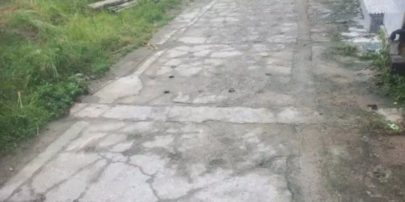 Bán đất thổ cư 54m2 - Mạnh Tân - Thụy Lâm - Đông Anh- Hà Nội 2,3 tỷ