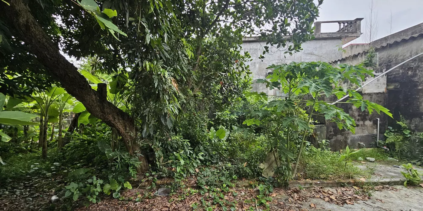 Chính Chủ Bán Nhanh 250m² Đất Mặt Tiền 10m - Đường Rộng 5m, Giá Chỉ 2,37 Tỷ