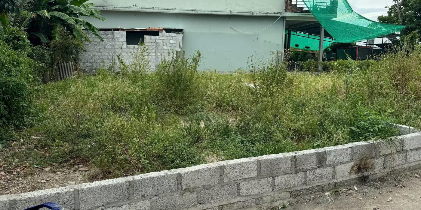 BÁN ĐẤT ĐẸP PHÚ MỸ CẠNH CHỢ SAM – ĐƯỜNG Ô TÔ, GIÁ CỰC TỐT CHỈ 920 TRIỆU!