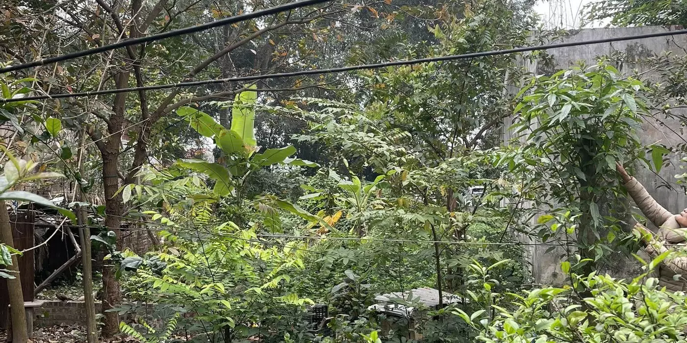 Bán 100m2 đất Bắc Hà, Nam Hồng, Đông Anh, Hà Nội
