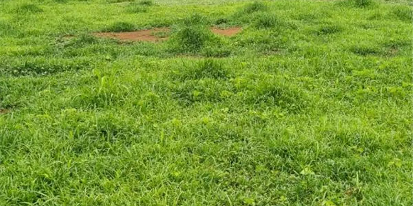 CHÍNH CHỦ CẦN BÁN 170M2  ĐẤT THỔ CƯ TẠI TRUNG TÂM TT ĐẤT ĐỎ BÀ  RỊA VŨNG TÀU