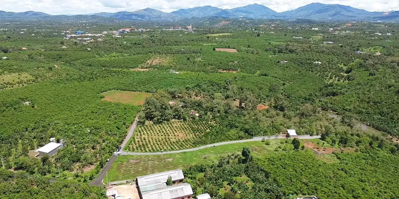 400 TRIỆU 1 LÔ DUY NHẤT - SĂN MÂY TẠI BẢO LỘC