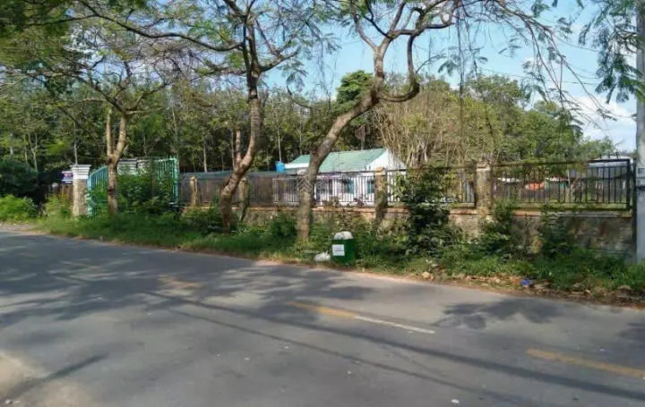Cần Bán gấp 8.400m² đất mặt tiền đường Nhuận Đức, Củ Chi – Giá chỉ 10,5 triệu/m²!