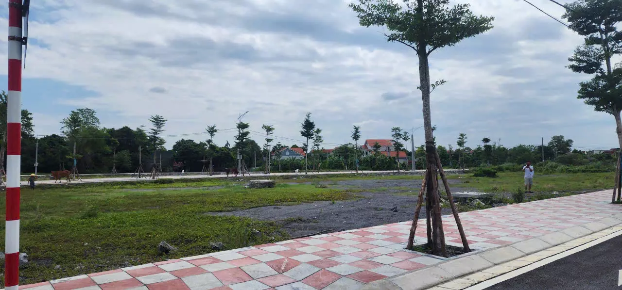 Sun Urban City ra giá 90-110tr/m2, Dự án đấu giá cách Sun 2 km giá đất 19tr/m2, cả xây 36tr