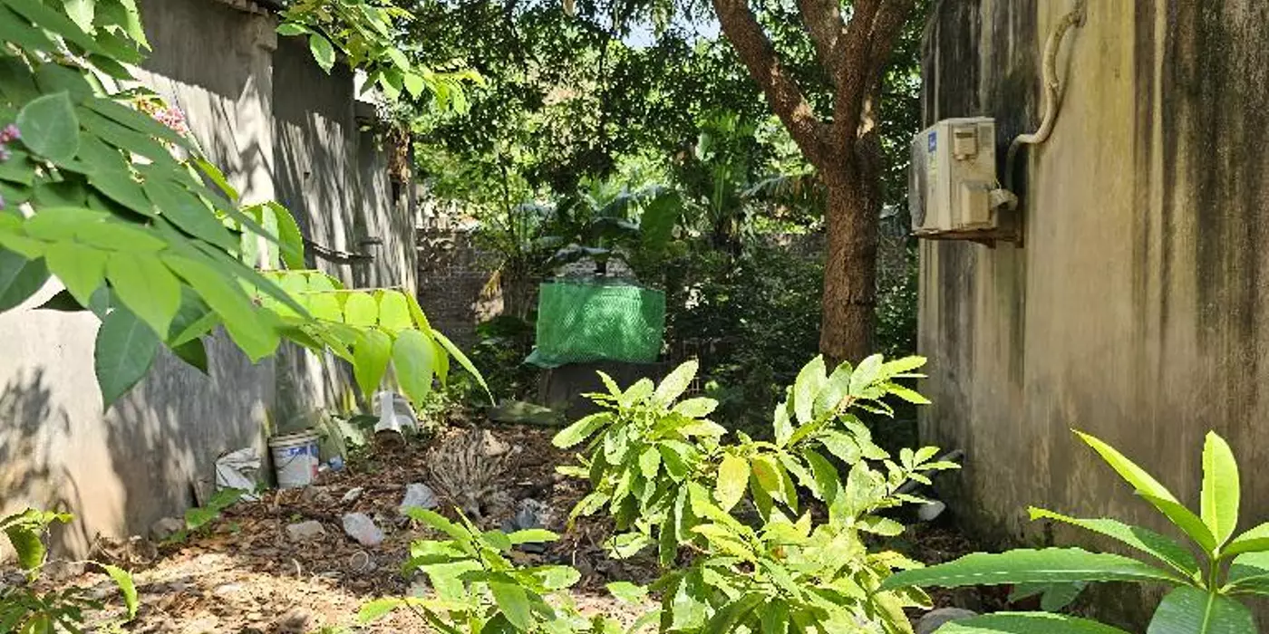 Chính chủ bán gấp đất Thúy Lĩnh Hoàng Mai  85m2 5m mặt tiền 4 tầng chỉ hơn 7 tỷ ô tô dừng đỗ cửa