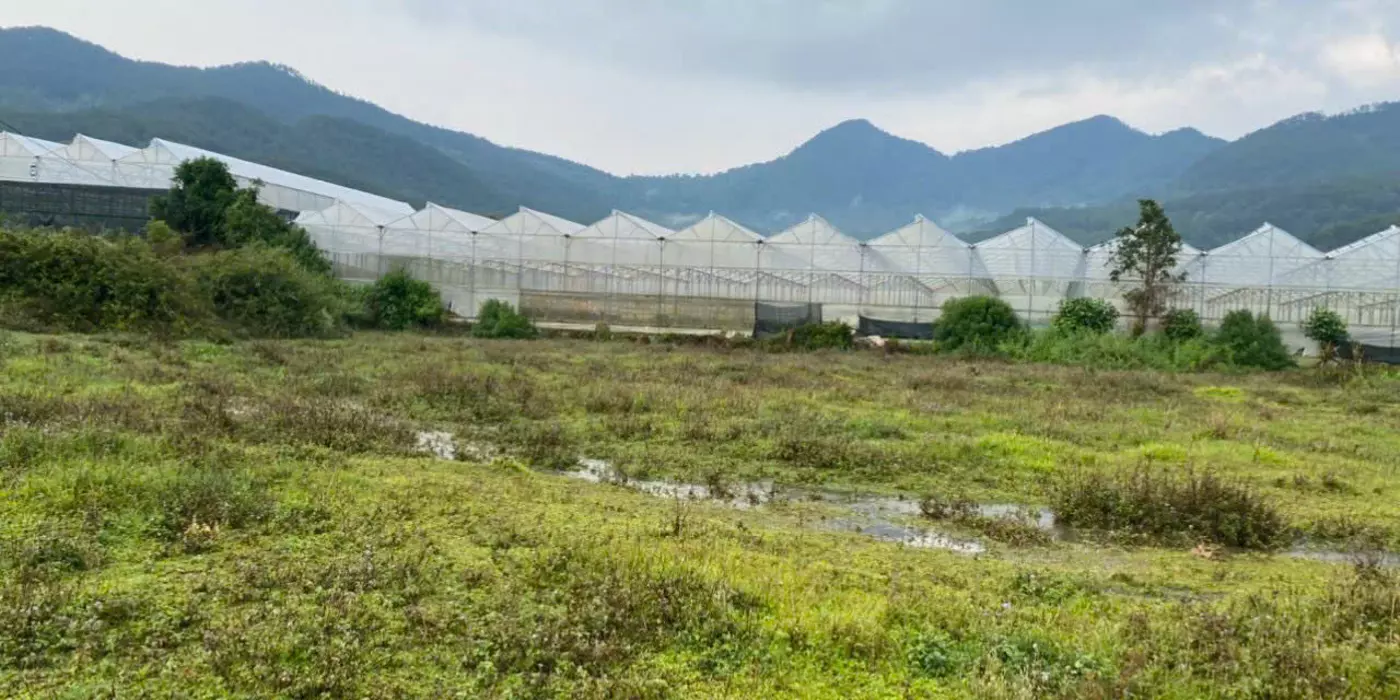 Chính chủ bán lô đất NN gần 7000m2 Lâm Đồng gần khu du lịch LangBiang