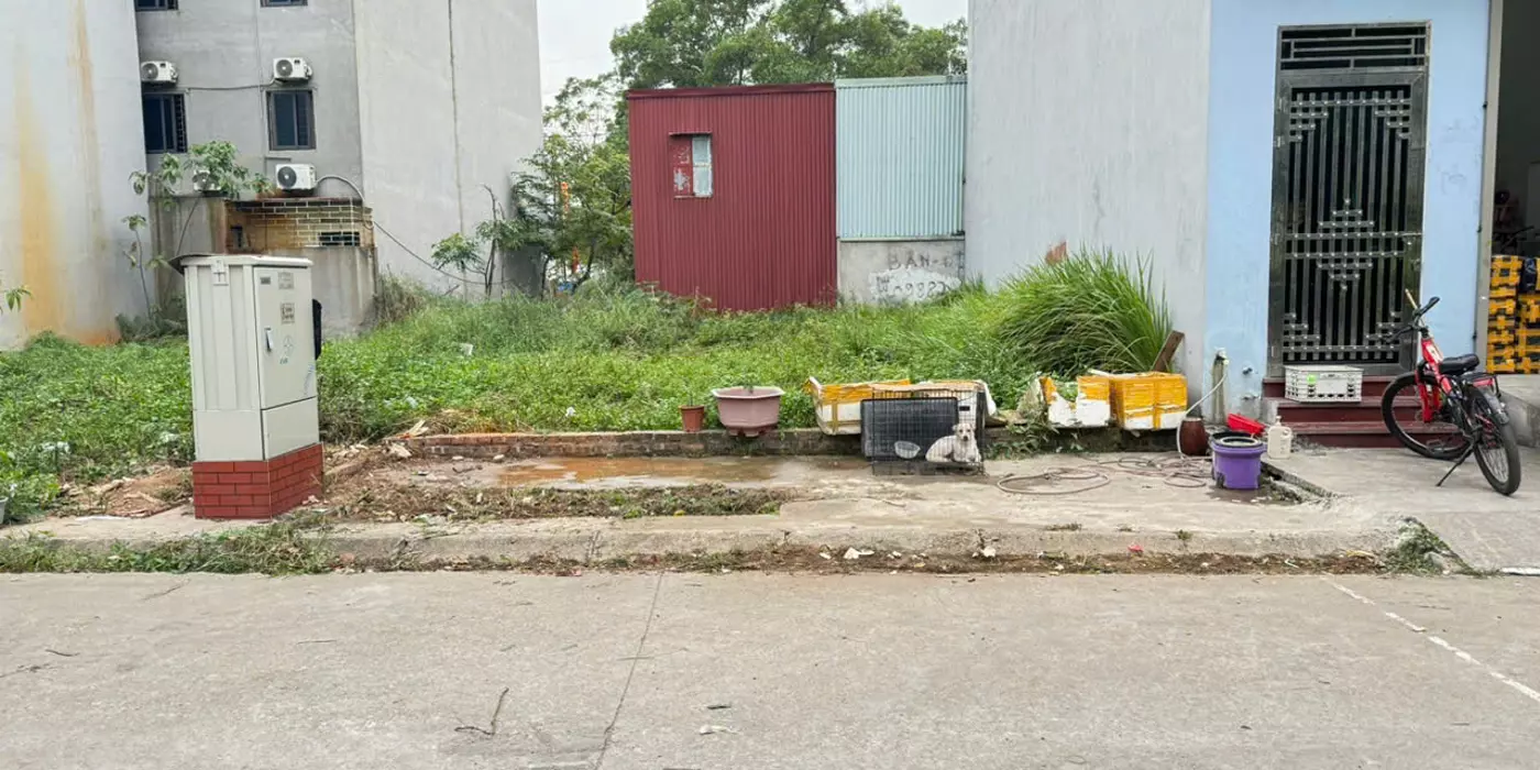 Bán đất dịch vụ tổ 5, Quang Minh, Mê Linh, HN. Mặt tiền kinh doanh đẹp. DT 95m, giá 5,7 tỷ.