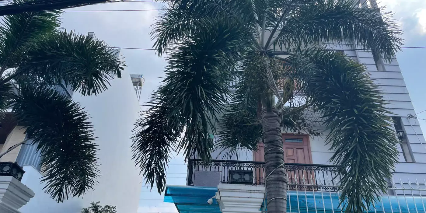 BÁN NHÀ 4 TẦNG (12x25m) GIÁ 14 TỶ MẶT TIỀN ĐƯỜNG 439 TÂN THỚI HIỆP 21.