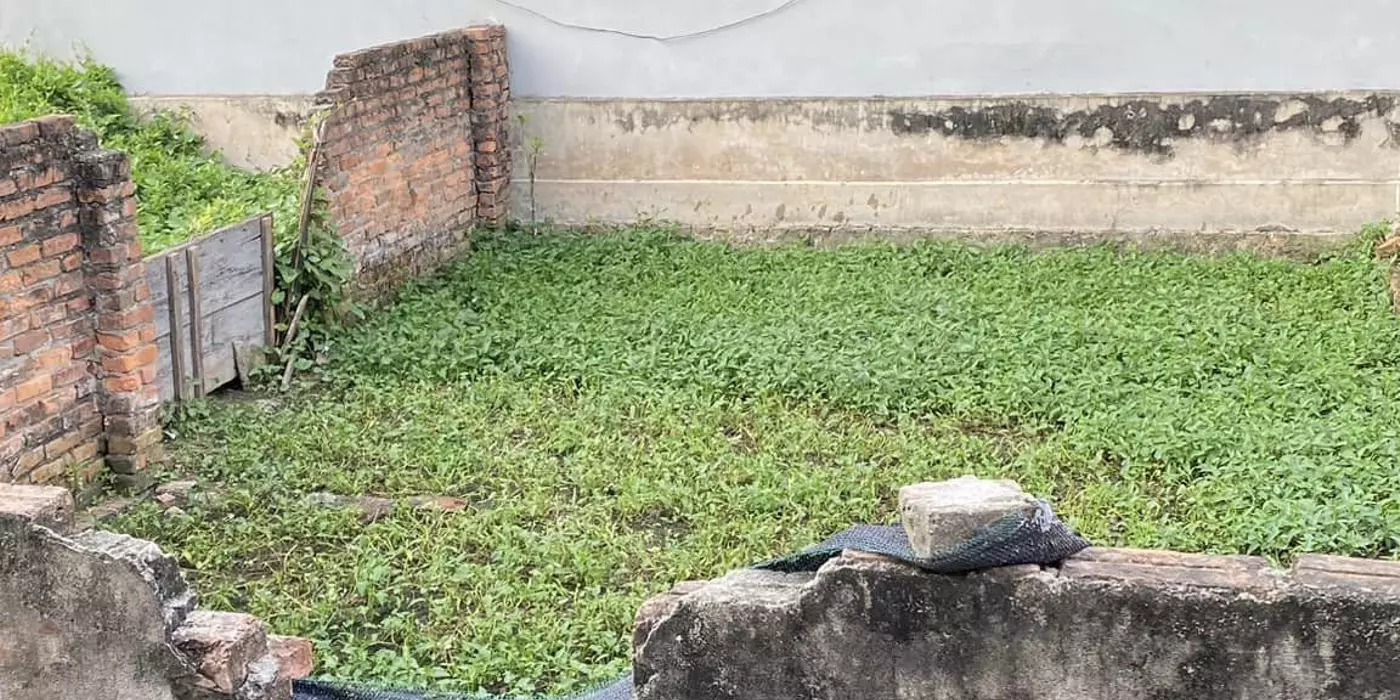 Thửa 172, Ngõ 2 Xóm 2 Thôn 3 Vạn Phúc - Tỷ Thanh Trì
