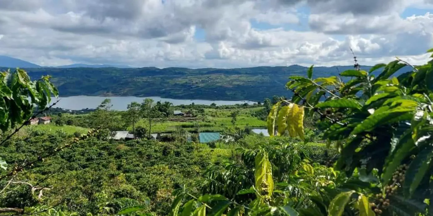 CHÍNH CHỦ BÁN 1.8HA ĐẤT LÂM HÀ - VIEW SÔNG ĐỒNG NAI