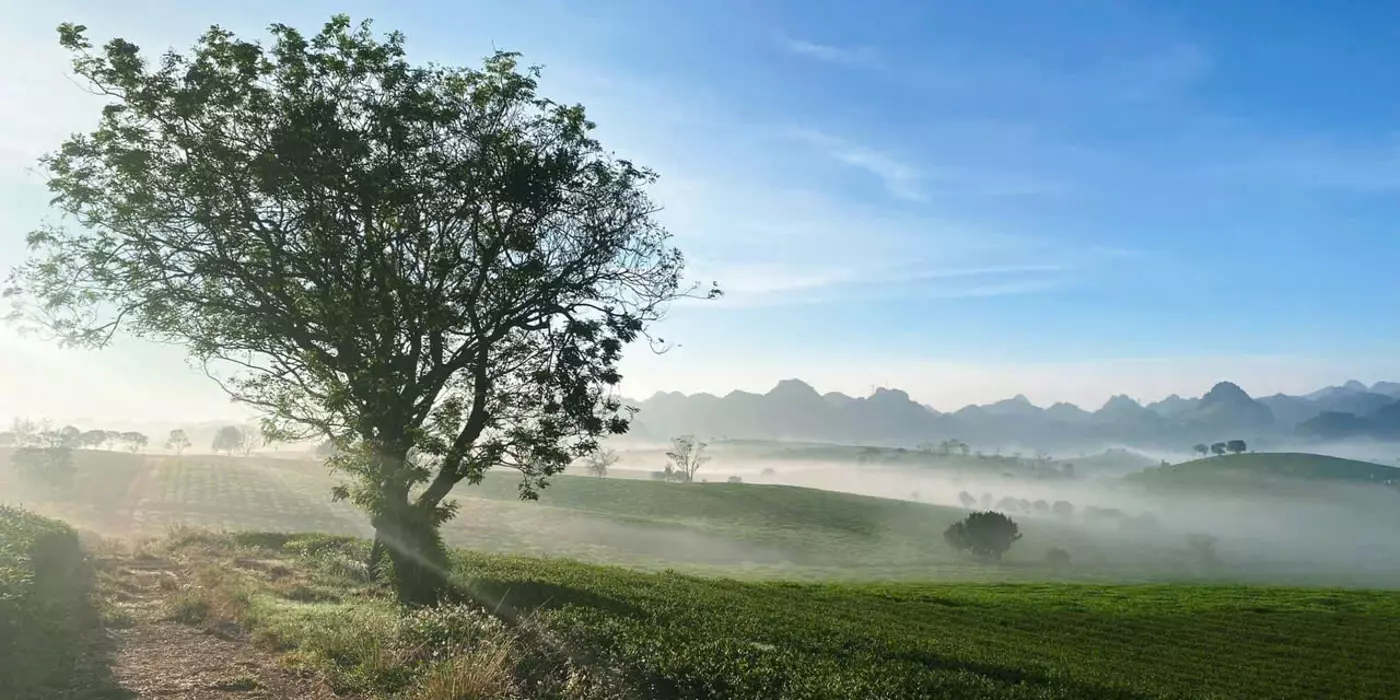 Bán cắt lỗ Homestay tại Mộc Châu