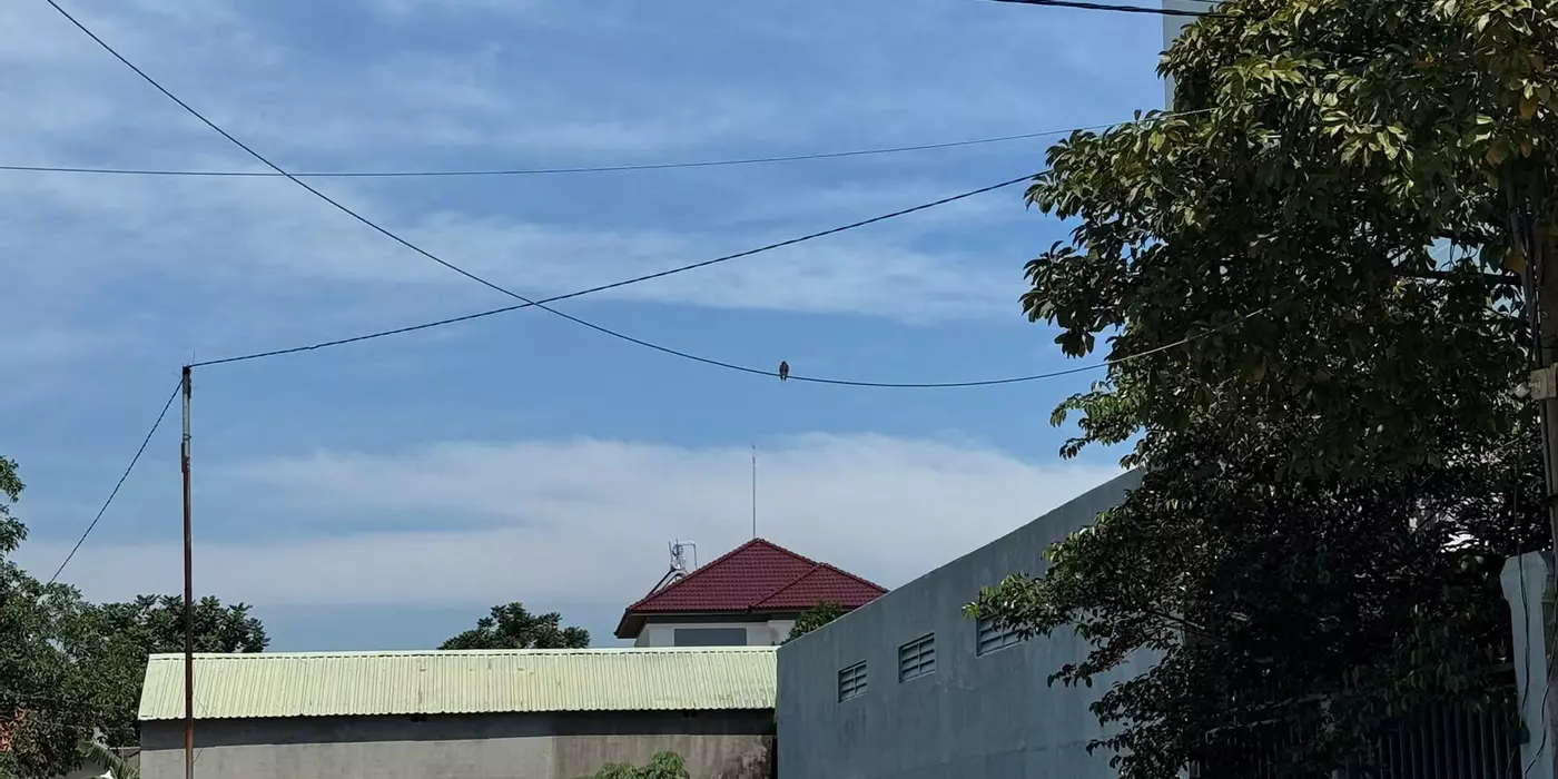 Ngộp cần bán các lô đất full thổ cư sang tên ngay