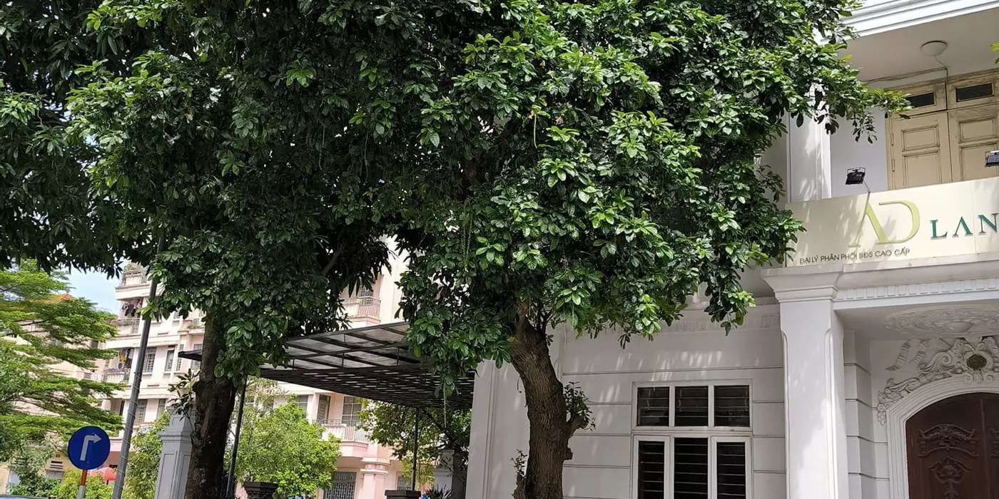 Bán gấp biệt thự Nguyễn Cơ Thạch, Mỹ Đình, 105m2 4 tầng vị trí đẹp, phù hợp ở, văn phòng