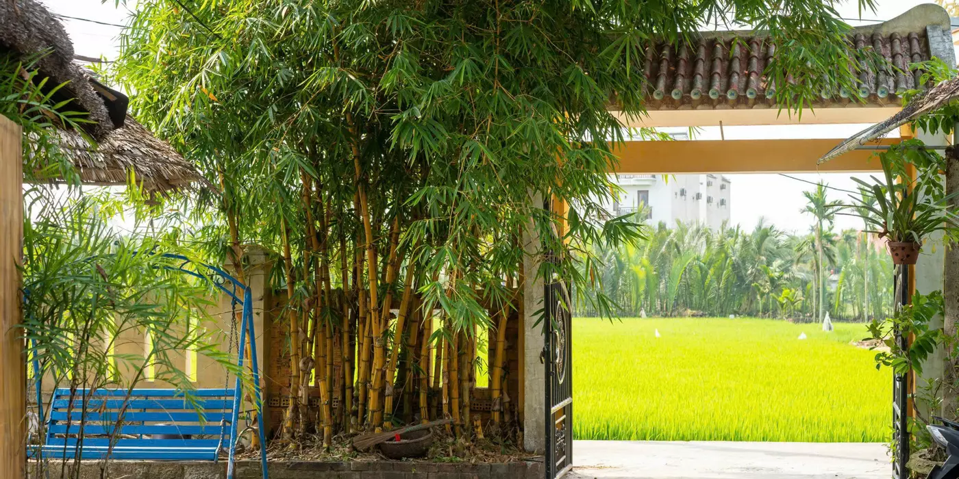 Cần sang nhượng Homestay Hội An Đà Nẵng vị trí đẹp giao thông thuận tiện giá cắt lỗ.