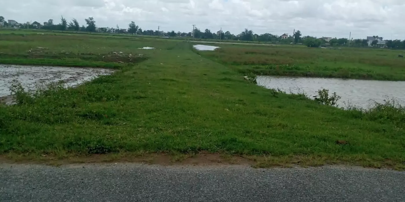 MẶT ĐƯỜNG KIẾN XƯƠNG THÁI BÌNH DIỆN TÍCH 7000M, MẶT TIỀN 50M  ĐẤT TMDV, GIÁ 5,5 TỶ