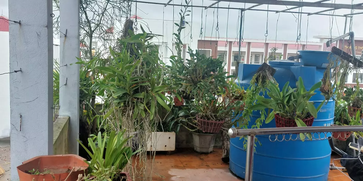 Bán nhà 85m2, 3 tầng, QL39A, Đông Hưng, Thái Bình - 3.2 tỷ