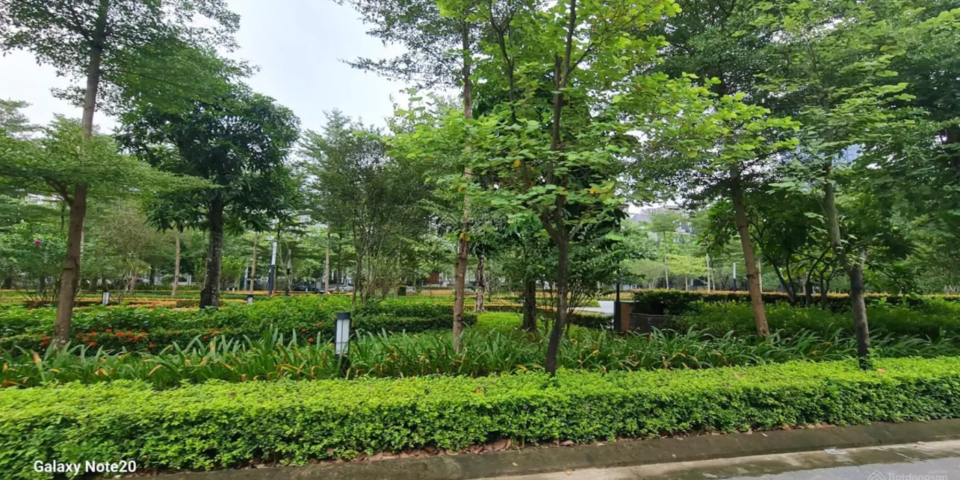 Bán biệt thự Ciputra Hà Nội diện tích 300m2 đường đôi 40m giá rẻ chỉ 105 tỷ LH 0985 680 788