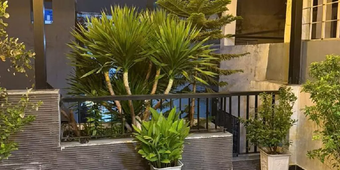 ĐỒNG ĐEN 53.7m2  4 tầng  kc: BTCT chỉ 9.35 tỷ Phường 11 Tân Bình