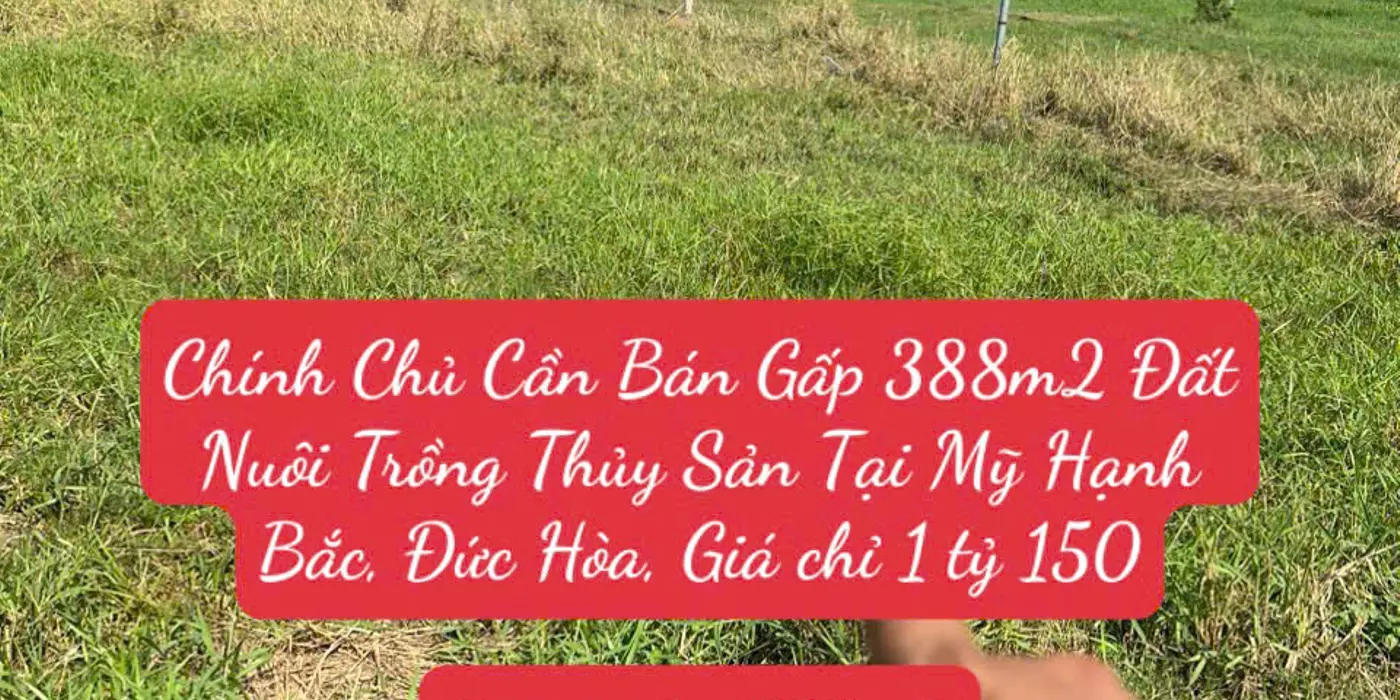 Chính Chủ Cần Bán Gấp 388m2 Đất Nuôi Trồng Thủy Sản Tại Mỹ Hạnh Bắc, Đức Hòa, Giá chỉ 1 tỷ 150