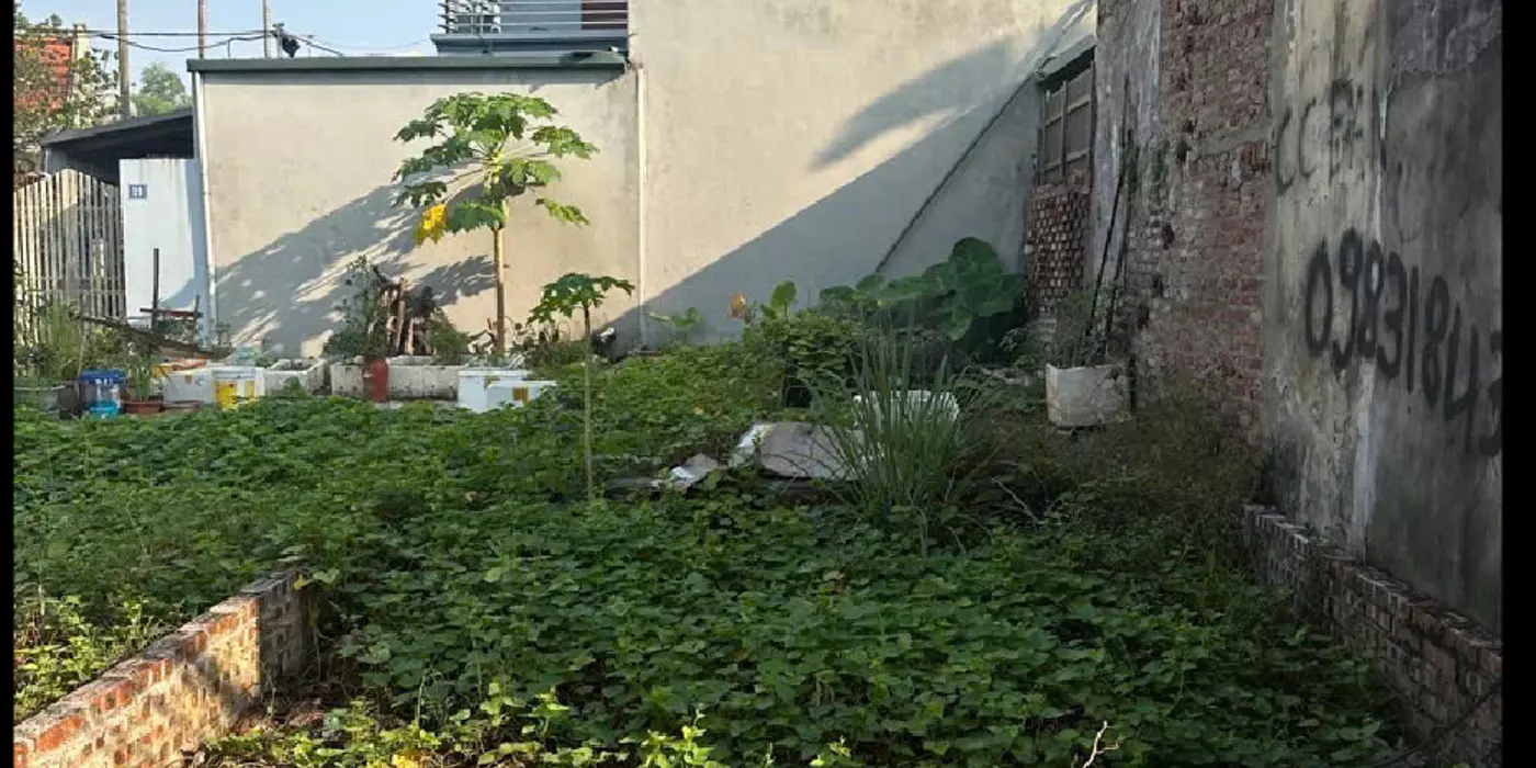 ĐẤT ĐÔNG DƯ - OTO VÀO ĐẤT - MẶT NGÕ THÔNG - GIÁ HỢP LÝ