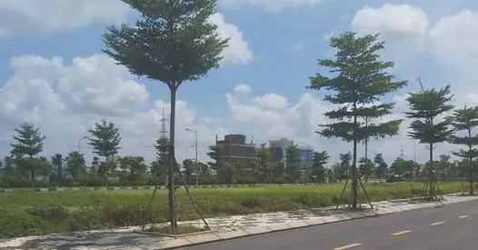 Lô Đất Vàng Hoàng Diệu - 262m² Giá Chỉ 600 Triệu, Cơ Hội Đầu Tư Đỉnh Cao!