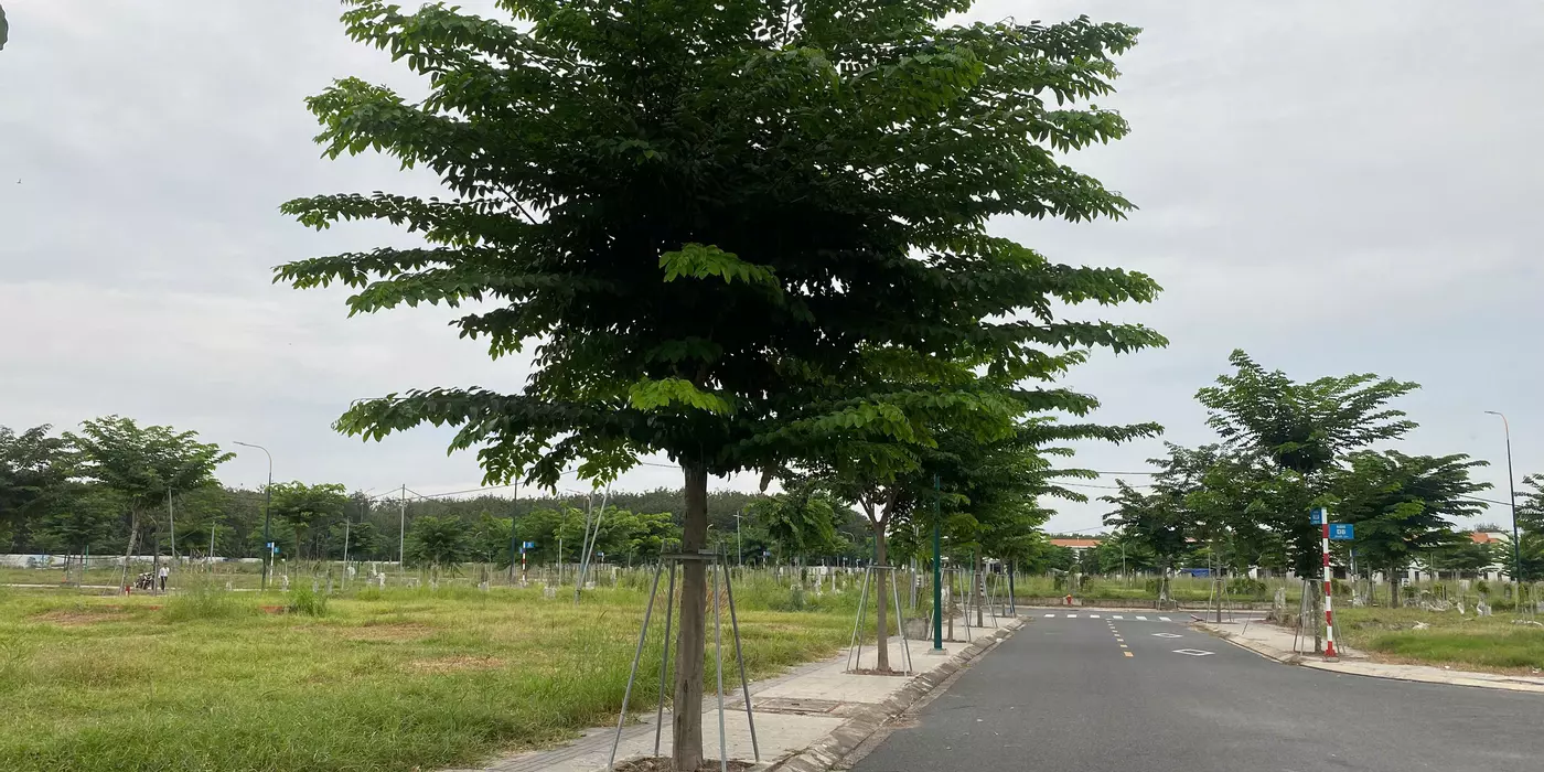 Đầu Tư An Toàn: Lô Đất Nền Tại Hòa Lợi, Sổ Sẵn, Tiện Ích Đầy Đủ Đất Dự Án Richland Residence – Thổ