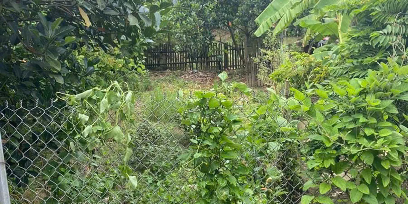 Bán Đất Mặt Đường, Kinh Doanh Tốt - Xã Đông Động, Đông Hưng, Thái Bình. Diện tích 100m2, mặt tiền