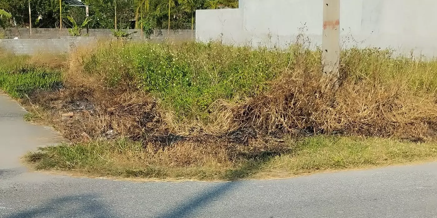 BÁN LÔ ĐẤT HUYỆN THÁI THỤY TIỀM NĂNG SINH LỜI CAO