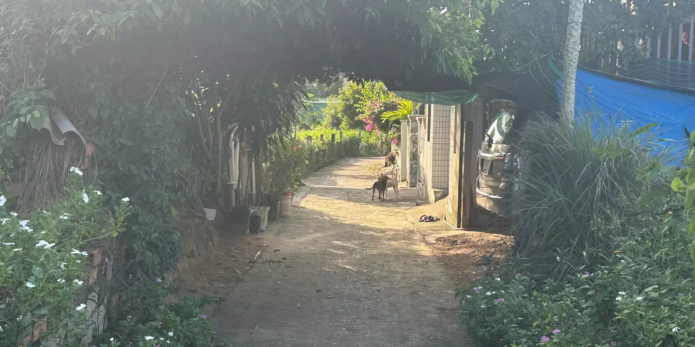 Bán 6m x 30m đất ONT Tân Bình - TX LaGi hạ giá 40%
