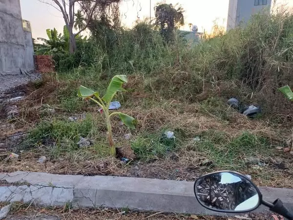 💥💥Đất thổ cư lô góc 2 Mặt hẻm 1/đường THẠNH XUÂN 52, phường THẠNH XUÂN, Q12, dt 217m2 (15mx15m)