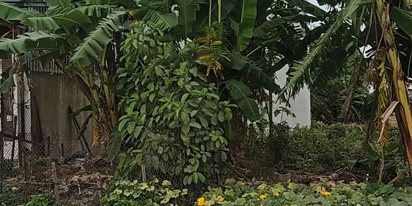 Bán đất xã Đông Động, huyện Đông Hưng, Thái Bình, diện tích 100m2, mặt tiền 5m, giá 2 tỷ.