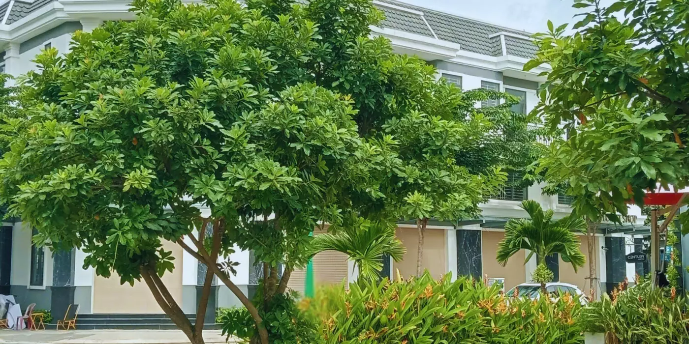 Nhà Phố Hòa Lợi 5x16m (Thổ Cư Hoàn Toàn) – Gần KCN VSIP 2, Đồng An 2, Mỹ Phước – Giá 2,66 Tỷ –
