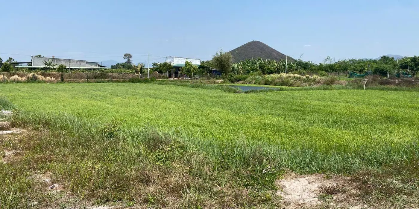 Bán 2939m2 đất Tân Tiến - TX LaGi giá ngộp chỉ 1.1 tỷ sổ riêng