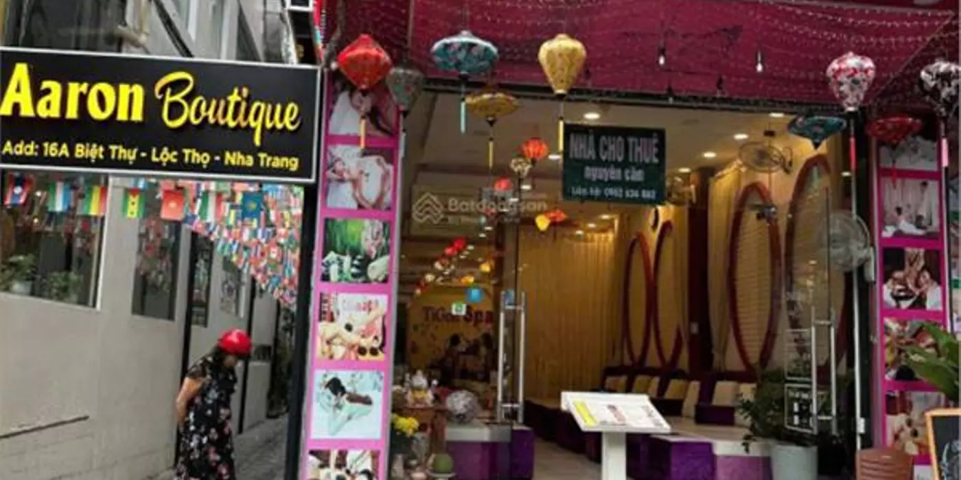 Cho thuê nhà nguyên căn khu phố Tây đường Biệt Thự