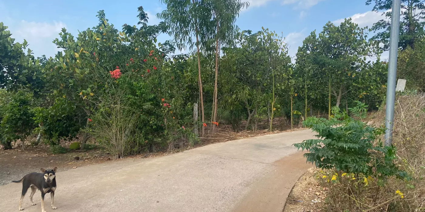 Bán đất 3 mặt tiền đường bê tông 1800m2 full hồng đất ở tại Xuân Tây, Cẩm Mỹ, Đồng Nai,