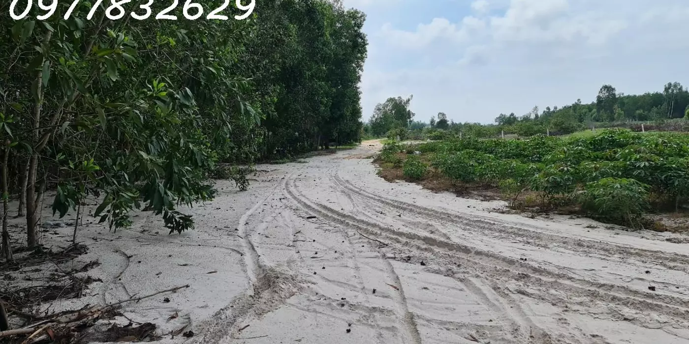 Chỉ 500 triệu sở hữu 1000m2 Tân Bình - TX LaGi đường xe hơi giá ngộp