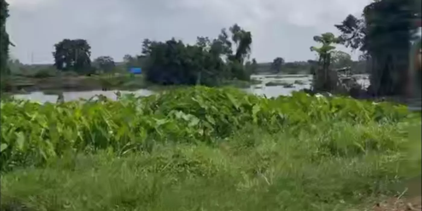 Lô đất 4000m2 tại Trung An Củ Chi, giá chỉ 4 tỷ còn thương lượng