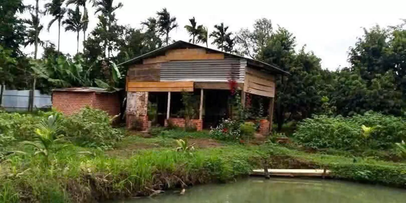 Bán nhà vườn 3500m2, 310tr, cây trái đầy đủ
