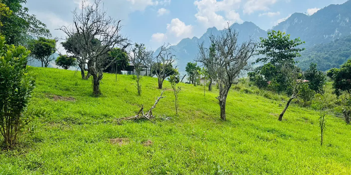 Bán Đất 700m² Tại Mộc Châu – Vị Trí Đẹp, Gần Thác Dải Yếm, Thích Hợp Kinh Doanh Homestay & Coffe