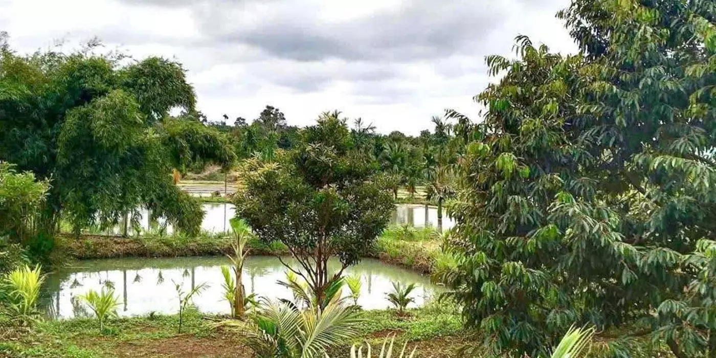 1000m2 nhà vườn sát chợ, đường 12M, đầy đủ điện nước